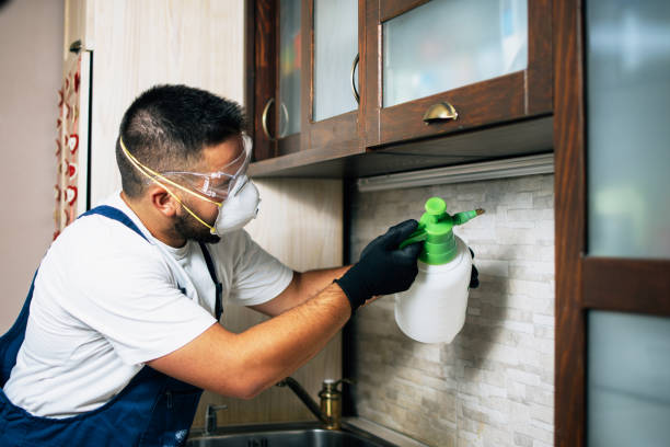 Best Pest Inspection Near Me  in Sisco Heights, WA