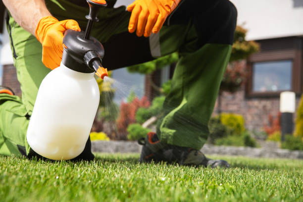 Best Pest Removal Services  in Sisco Heights, WA