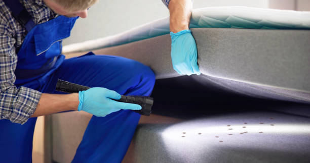 Best Local Pest Control Services  in Sisco Heights, WA
