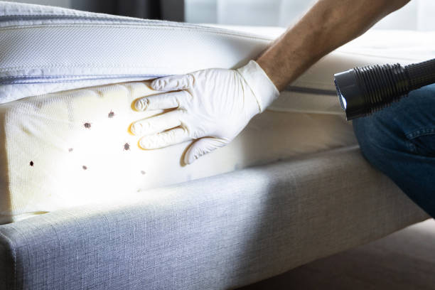 Best Commercial Pest Control Services  in Sisco Heights, WA