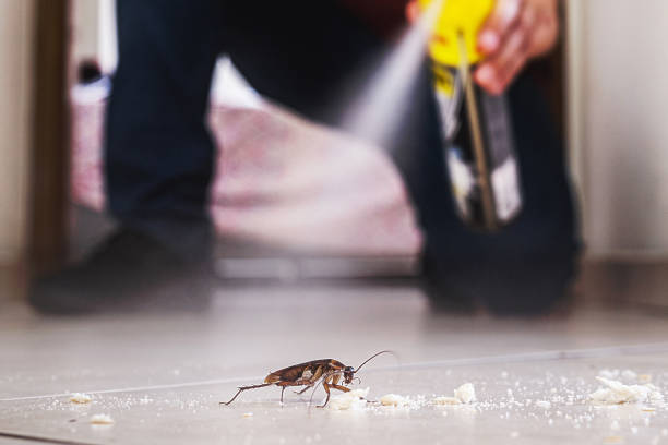 Best Commercial Pest Control Services  in Sisco Heights, WA