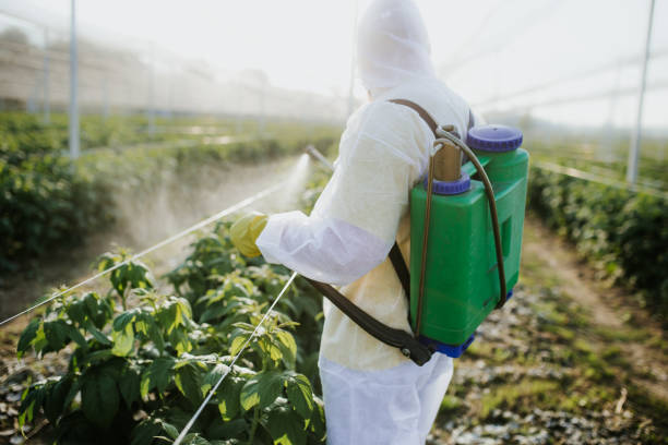 Best Residential Pest Control  in Sisco Heights, WA